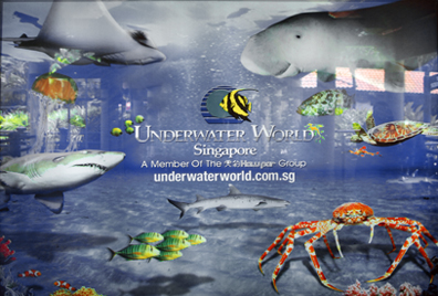 underwaterworldsingaporedsc0107.jpg